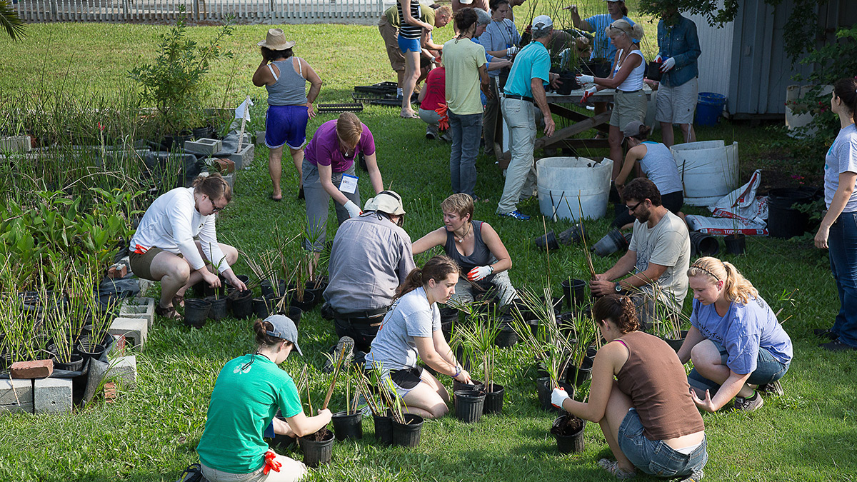 The Providence Point Community Garden